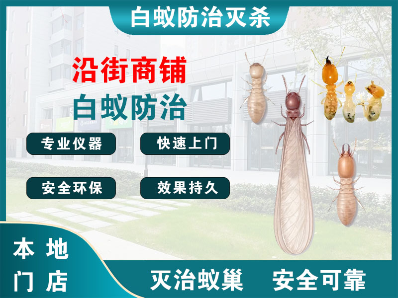 桐庐沿街商铺白蚁防治