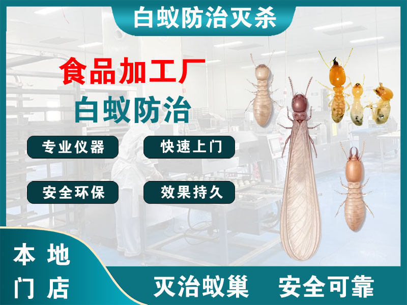 桐庐食品加工厂白蚁防治