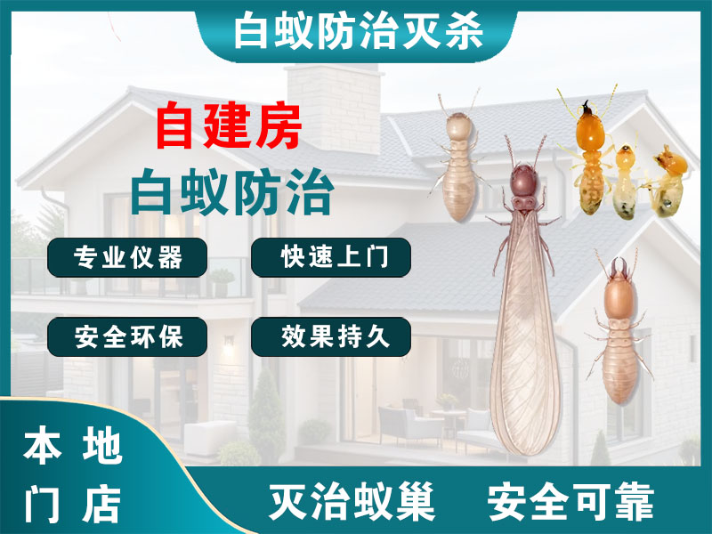 桐庐自建房白蚁防治