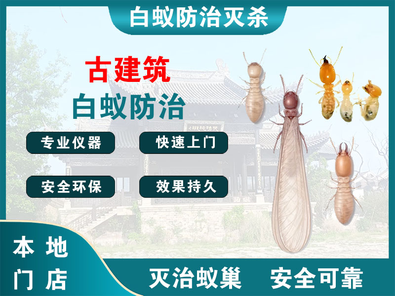 桐庐古建筑白蚁防治
