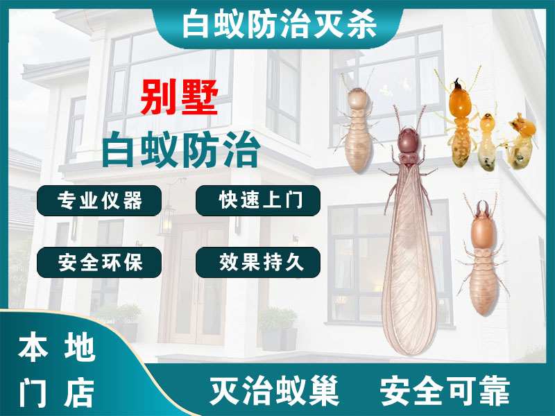 桐庐别墅白蚁防治