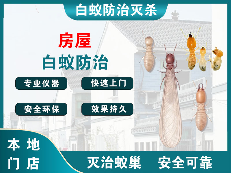 桐庐房屋白蚁防治